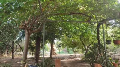 Rustic farm in the Valencian Community photo 8