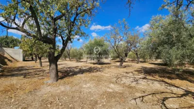 Chalet in Aspe photo 46