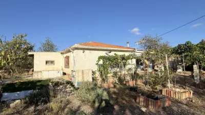 House on Partida Pla de Cuart Street photo 7