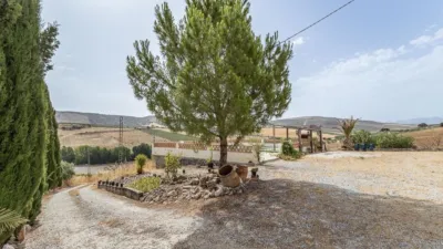 Chalet en South Of Spain photo 23