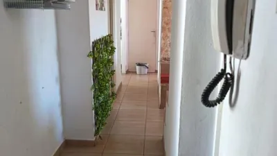 Miniatura 7