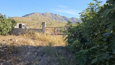 House in Abanilla photo 41