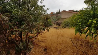 House in Pedroche photo 24