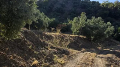 Chalet in Andalusia photo 15
