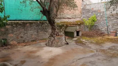 House in Pedroche photo 25