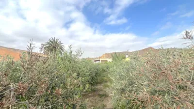 House in Cuevas del Almanzora photo 35