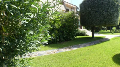 Chalet in Cruz de Gracia photo 59