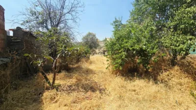 House in Pedroche photo 37