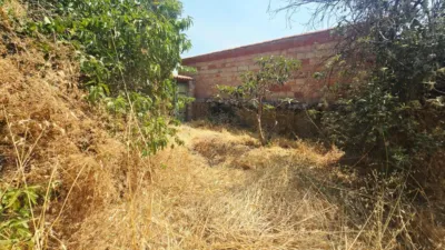 House in Pedroche photo 34
