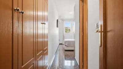 Apartment in Parque Central photo 11
