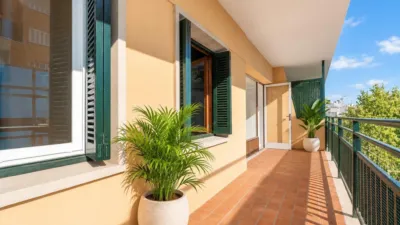 Apartment in Bons Aires photo 30