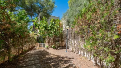 Terraced house in Santa Ponsa photo 26