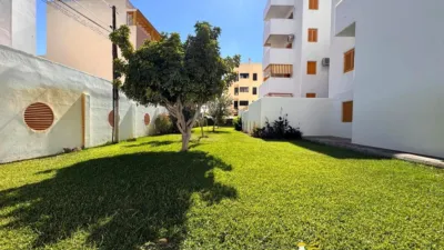 Apartment in Sanlúcar de Barrameda photo 9