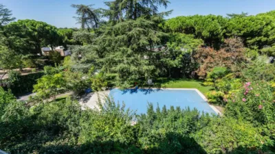 Chalet in Las Lomas photo 51