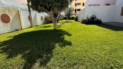 Apartment in Sanlúcar de Barrameda photo 10