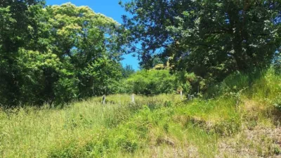 Terreno en alquiler en Calle Ac-523, Número 0 - Vista 2