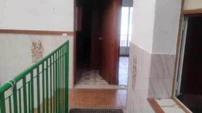 Miniatura 12