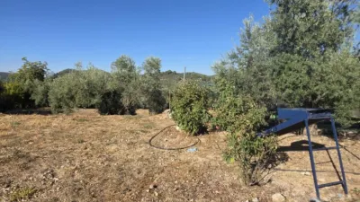Chalet in Andalusia photo 16