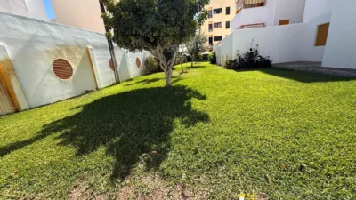 Apartment in Sanlúcar de Barrameda photo 8