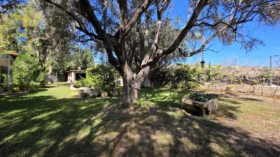 Chalet on Moralet Street photo 93