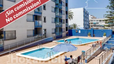 Pis – Torrevieja - Vista 2