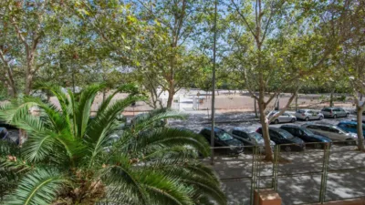 Apartment in Grupo Parqueflores V Phase photo 14