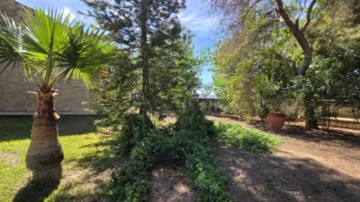 Chalet on Moralet Street photo 86