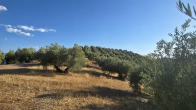 Chalet in Andalusia photo 14
