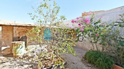 Rustic Finca in La Magdalena photo 31