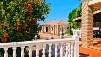 Chalet in Las Lagunas - Campano photo 46