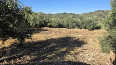 Chalet in Andalusia photo 17