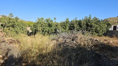 House in Abanilla photo 50