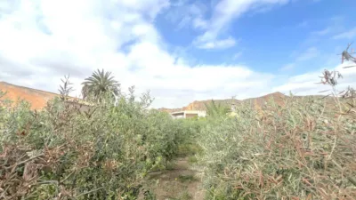 House in Cuevas del Almanzora photo 34