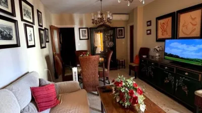 Apartment in Sanlúcar de Barrameda photo 18