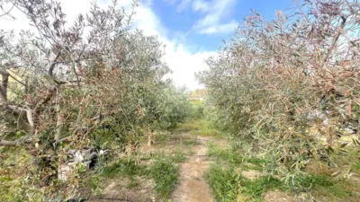 House in Cuevas del Almanzora photo 33