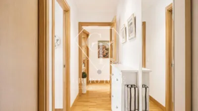 Apartment on Loiolako Erribera Pasealekua photo 22