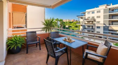 Piso – Alicante - Alacant - Vista 5