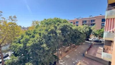 Piso en Parque Polivalent Francesc Masia photo 5