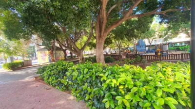 Apartment in Santa Catalina photo 4