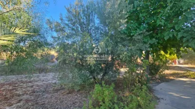 Chalet en Aspe photo 10