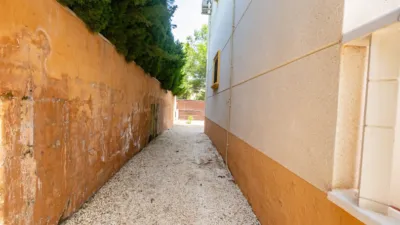 Apartment in Lomas de Cabo Roig-Los Dolses photo 32