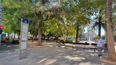 Apartment in Santa Catalina photo 15