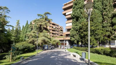 Apartamento en Constitucion photo 3