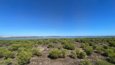 Piso – Torrevieja - Vista 3