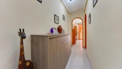 Pis – Torrevieja, Urbanización Calas Blancas - Més