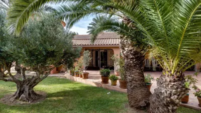 Casa – Torrevieja - Vista 5