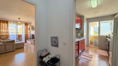 Pis – Alicante - Alacant - Vista 3