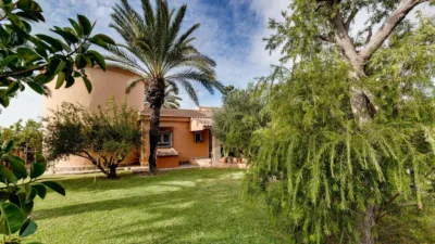Casa – Torrevieja - Més