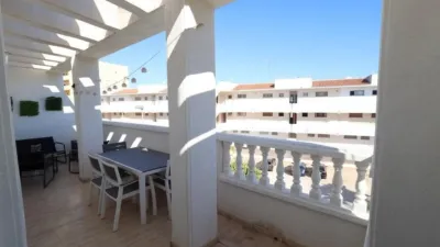 Pis – Torrevieja - Vista 2