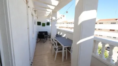 Pis – Torrevieja - Vista 4